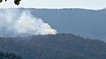 4 ilde orman yangını