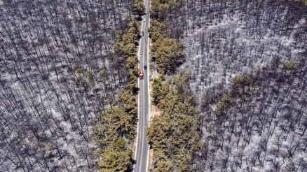 10 günde 761 yangın söndürüldü 10 günde 761 yangın söndürüldü