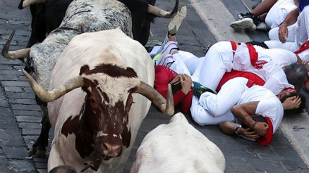 Geleneksel festivalde 8 yaralı