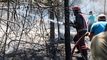 Yüzde 90ı insan kaynaklı deyip uyardı: Felaketlere yol açabilir