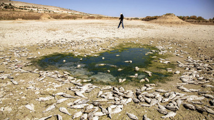 Türkiye çölleşiyor... BM’den 2030 uyarısı