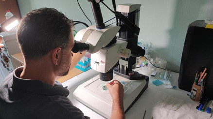 Akdenizde 1980lerden bu yana artış oldu Zehirli balıklar geliyor