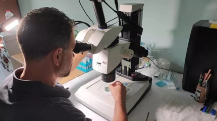 Akdeniz’de deniz suyu sıcaklığı arttı, zehirli balıklar geldi