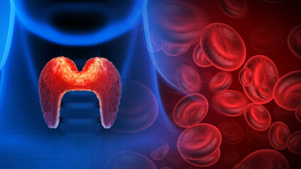 Kalsiyum dengesinin gizli kahramanı… Geçmeyen ağrılarınızın nedeni kalsiyum ayarınızın bozulması olabilir