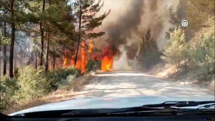Bursa-Balıkesir sınırında çıkan orman yangını kontrol altına alındı