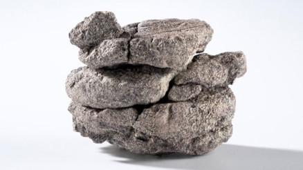 Müzenin otoparkından 67 milyon yıllık sürpriz çıktı