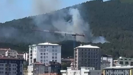 İstanbulda Aydos Ormanında çıkan yangın söndürüldü