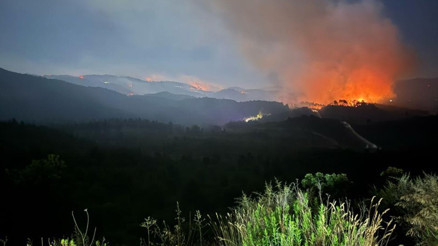 Hatay Yayladağındaki yangınlara müdahale sürüyor: 734 personel, 7 uçak, 14 helikopter, 215 araç