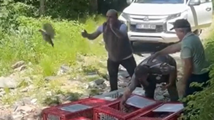 Kanatlı timin mücadelesi sürüyor 1.400 tanesi daha doğaya salındı...