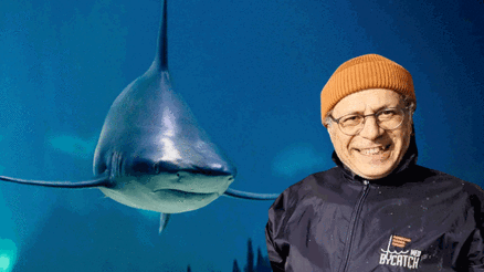 Türkiye kıyılarında görülmüştü... Uzmanından rahatlatan açıklama: Saldırgan türler 40 yıl önce terk etti Türkiye kıyılarında görülmüştü... Uzmanından rahatlatan açıklama: Saldırgan türler 40 yıl önce terk etti