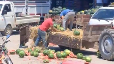 Karpuzları yere atıp parçalamışlardı Bakan Yardımcısı Gürcan duyurdu... Rekor para cezası