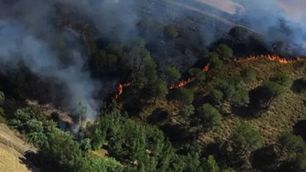 İtalyada Sardinya Adası alevlere teslim: 20 noktada orman yangını çıktı