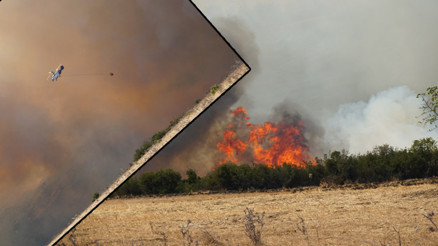 Son dakika: 4 ilde orman yangını Rüzgarın etkisiyle büyüdü, yerleşim yerleri boşaltılıyor