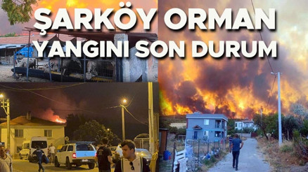 Tekirdağ Şarköy yangını son durum 16 Temmuz || Şarköy orman yangını söndürüldü mü, kontrol altına alındı mı, devam ediyor mu Şarköy nerede, Tekirdağ ile arasında kaç km var