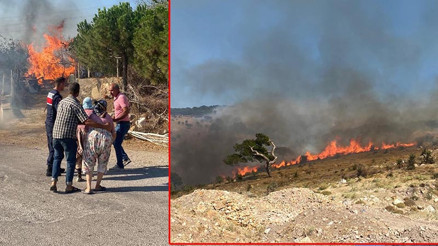 Çanakkale Ayvacık orman yangını son durum 16 Temmuz || Ayvacıktaki orman yangını söndürüldü mü, devam ediyor mu, kontrol altına alındı mı Ayvacık nerede, Çanakkale ile arasında kaç km var