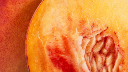 Uzmanlar öve öve bitiremedi O kadar faydalı ki... Üstelik şimdi tam mevsimi