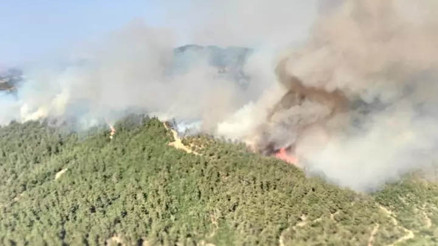 Balıkesirdeki orman yangınına müdahale sürüyor