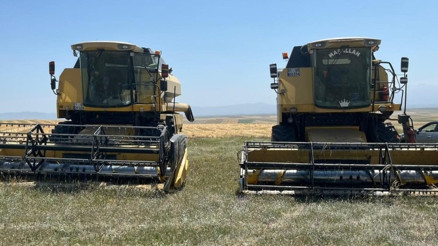 Yapma, etme demelerine aldırış etmedi... Yerli ve milli: Tarlasına eken çiftçi mucizeye şahit oldu | Adeta mahsul fışkırdı