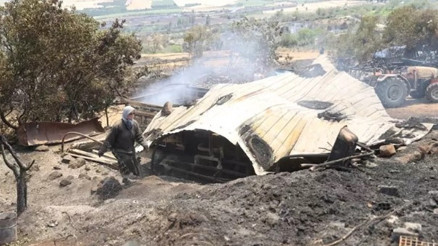 Tekirdağ’da orman yangınında ağılları zarar gören besiciler yaşadıklarını anlattı