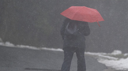 Almanya’da 17 milyon kişi yalnız yaşıyor Almanya’da 17 milyon kişi yalnız yaşıyor