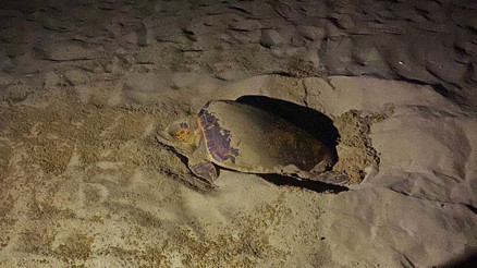 İzmirde yılın ilki gerçekleşti Hemen o alandan uzaklaşın... İzmirde yılın ilki gerçekleşti Hemen o alandan uzaklaşın...