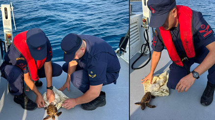 İşte böyle bulundu Deniz kaplumbağasını Sahil Güvenlik kurtardı