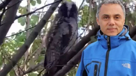 Evinizin çevresinde görürseniz sevinin deyip uyardı: Sakın zarar vermeyin