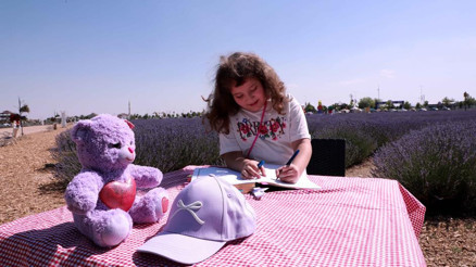 Lavanta kokulu notlar