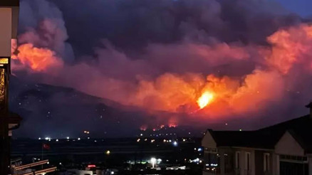 Sakaryada orman yangını 2 mahalle tahliye edildi