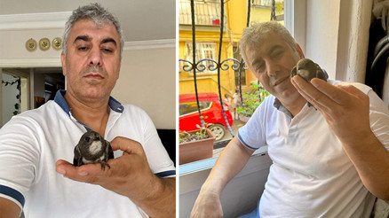 İstanbulda muhteşem olay Sokakta yaralı bulup tedavi etmişti, 6 yıl sonra geri döndü İstanbulda muhteşem olay Sokakta yaralı bulup tedavi etmişti, 6 yıl sonra geri döndü