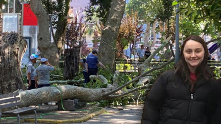Kocaelide üzerine ağaç dalı düşen 18 yaşındaki Selda, hayatını kaybetti