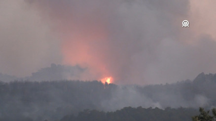 Yüreğimiz yandı... Eskişehirdeki orman yangınında 10 şehit Yüreğimiz yandı... Eskişehirdeki orman yangınında 10 şehit