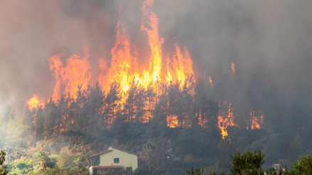 Son iki yılda 78 milyon dönümden fazla orman yandı, her dakika 18 futbol sahası büyüklüğünde ormanlık alan yok oluyor Tüm bunların sebebi ne ‘Çok daha fazla yangın olacak