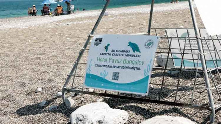 Caretta carettaları işletmeler sahiplendi