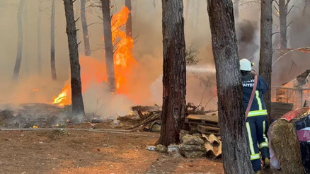 Orman yangınlarında son durum