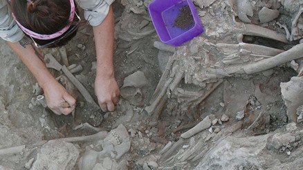 15 yıldır süren kazılarda önemli keşif: İlki olduğu ortaya çıktı