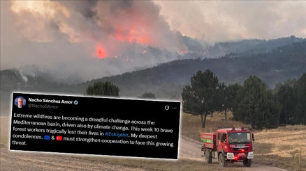 AP Türkiye Raportörü Amordan 10 şehidimiz için taziye mesajı