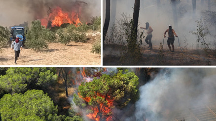CANLI | Son dakika... Alevlerle mücadelede son durum Orman yangınlarına müdahale sürüyor... Alarm durumundayız