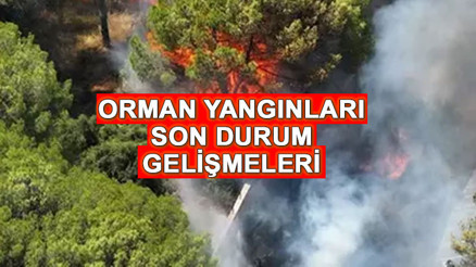 ORMAN YANGINLARI SON DAKİKA HABERLERİ 26 TEMMUZ || Ankara, Antalya, Mersin, Muğla orman yangınları söndürüldü mü, kontrol altına alındı mı, devam ediyor mu Orman yangını riski en çok hangi bölgede
