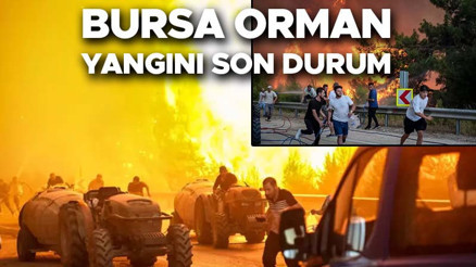 BURSA ORMAN YANGINLARI SON DURUM (27 TEMMUZ - PAZAR) || Gürsu ve Kestel orman yangını söndürüldü mü, kontrol altına alındı mı, devam ediyor mu Kestel ve Gürsu nerede, Bursa ile arasında kaç kilometre var