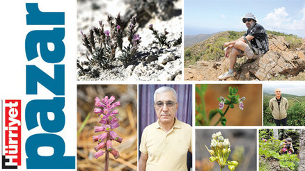 Endemik bitkilerin peşindeki gönüllü kâşifler