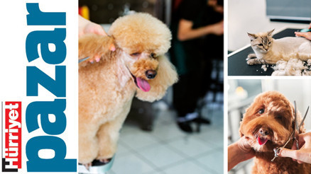 ‘Kürkleri güneşe karşı fiziksel bir bariyer’