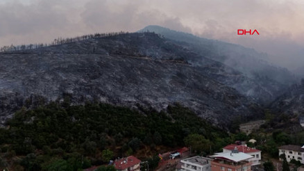 Bursadaki orman yangınlarının boyutu, gün ağarınca ortaya çıktı Bursadaki orman yangınlarının boyutu, gün ağarınca ortaya çıktı