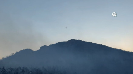 Bursada Gürsu ve Kestel arasındaki orman yangınına müdahale ediliyor