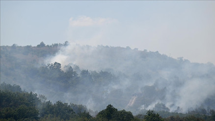 Bulgaristandaki orman yangınının dumanı Edirneye ulaştı