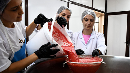 Değerine değer kattılar: Kilosu 1 lira olan meyveden üretip 250 liraya satıyorlar