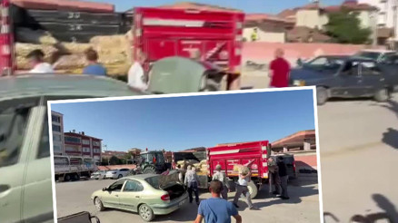 Genç çiftçi, vatandaşa ücretsiz dağıttı: Kamyonla getirdi, kapış kapış götürüldü Genç çiftçi, vatandaşa ücretsiz dağıttı: Kamyonla getirdi, kapış kapış götürüldü