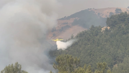 Bursadaki orman yangınına havadan müdahale