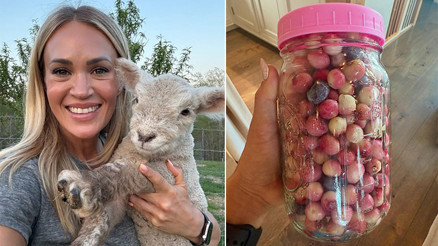 Ünlü şarkıcı huzuru çiftlik hayatında buldu… Şimdi kuzularını büyütüp turşu kuruyor