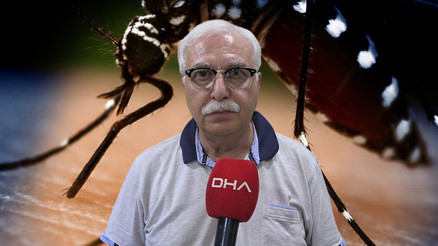 Sivrisineklerden bulaşıyor Uzman isimden Chikungunya virüsü açıklaması: Yakın bir tehdit söz konusu değil